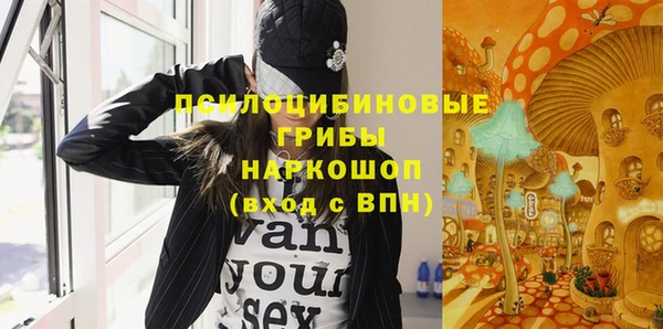 молекула духа Армянск